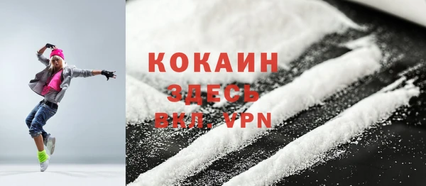 прущие грибы Семилуки