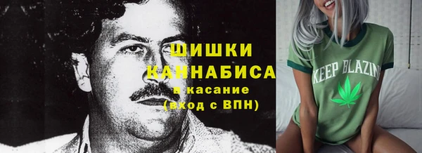 прущие грибы Семилуки