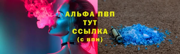 прущие грибы Семилуки
