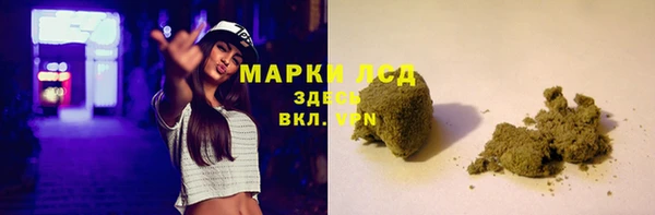 прущие грибы Семилуки