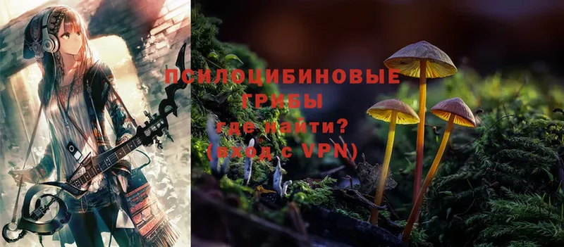 Галлюциногенные грибы Cubensis  ОМГ ОМГ онион  Буинск 