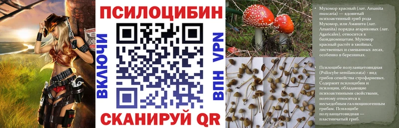 Псилоцибиновые грибы мицелий хочу Буинск